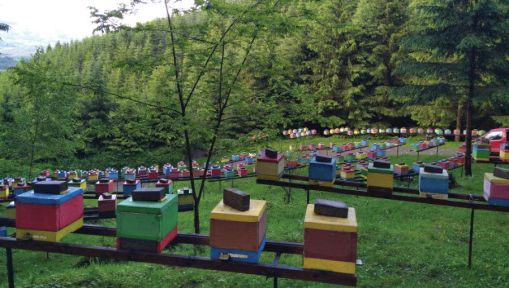 Nowy numer — Maj 2026 dostępny online